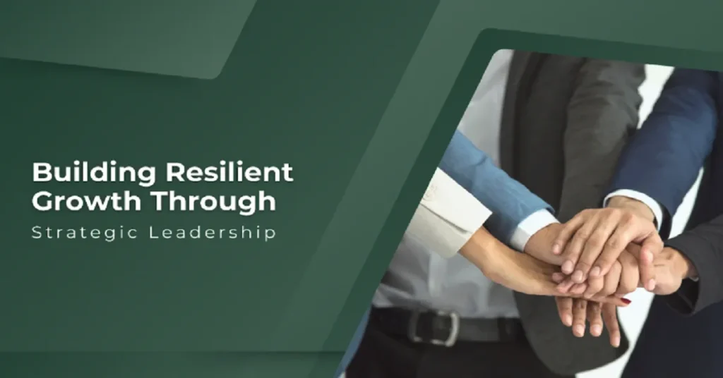 business strategy consultant